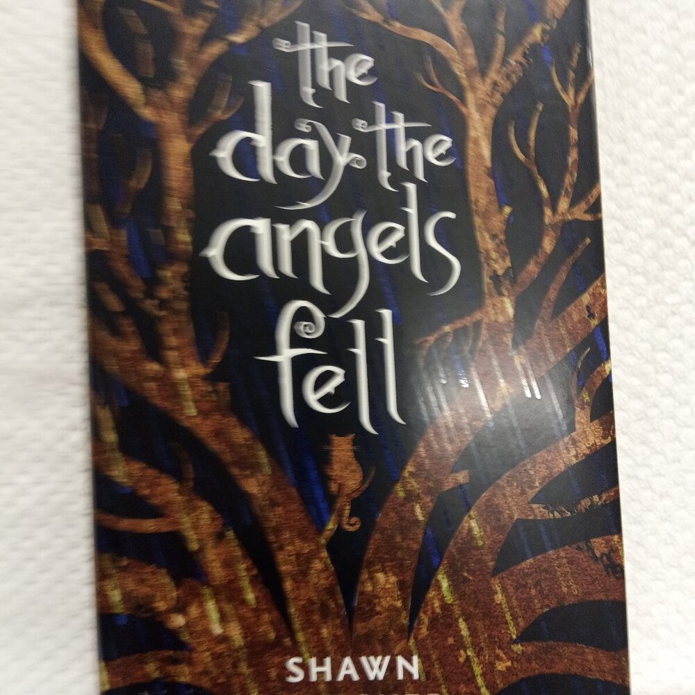 The Day the angers fell By Shawn Smucker Fiction Hardcover Book SKU A